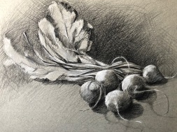 Beets 11" x 14" Carbon and white charcoal pencil on toned paper
